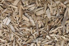 biomass boilers Whiteclosegate